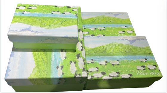Красивый шаблон Flip Top подарочная коробка на заказ жесткий картон Элегантный дизайн