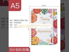 Твердый переплет, индивидуальный журнал-блокнот, стандартный для профессионального письма