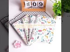 Спиральный блокнот в твердой обложке с белыми страницами, одним предметом, 100 страниц